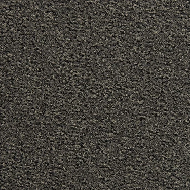 Ковровая плитка Domo Modulyss Eco 100 S 603
