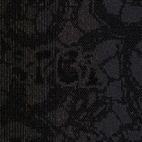  Interface