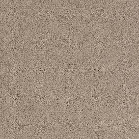  Desso1 Desso Palatino 2923
