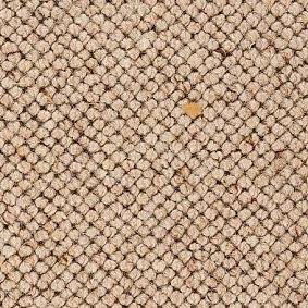  Best Wool Nature Jeddah 121