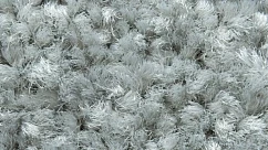 Ковролин Balsan Serenite 905