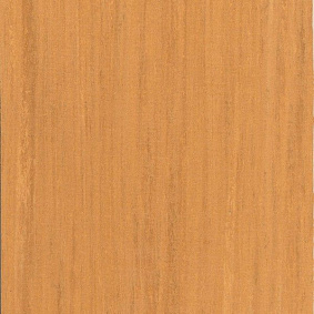  Armstrong2 Lino Art Nature Lpx