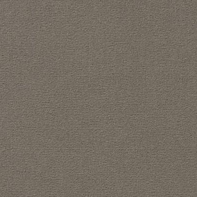  Vorwerk Passion 1021