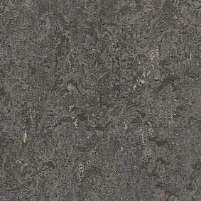  Forbo Marmoleum Decibel 304835 Graphite1
