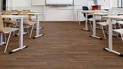 Ковролин Flotex Vision Naturals 010055 Chestnut