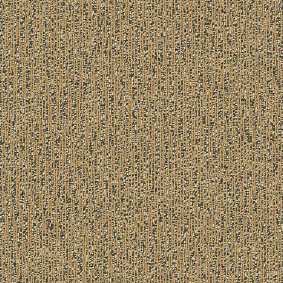  Interface