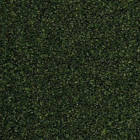  Ruscarpettiles Rct Riva