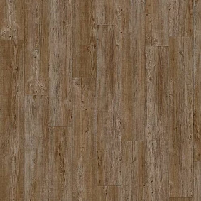  Latin Pine 24852