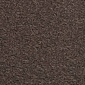 Ковровая плитка Domo Modulyss Eco100 C 845