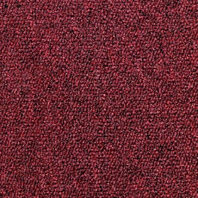  Ruscarpettiles Rct Status