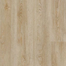 Scarlet Oak 230