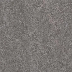 Forbo Marmoleum Decibel On Order 313735 Slate Grey