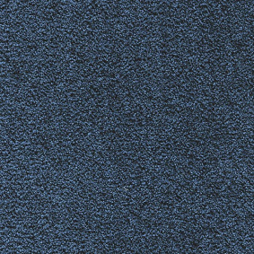  Ruscarpettiles Rct Status