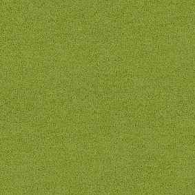  Interface Polichrome Solid