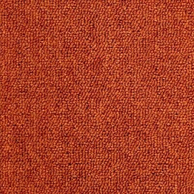  Ruscarpettiles Rct Status