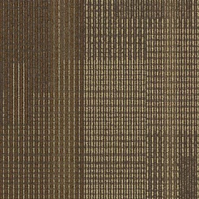  Interface 305554