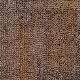  Interface 366495