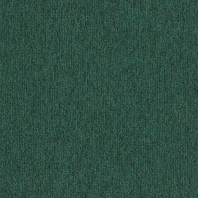  Interface 5597