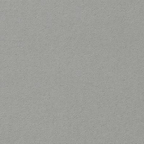  Vorwerk Passion 1021