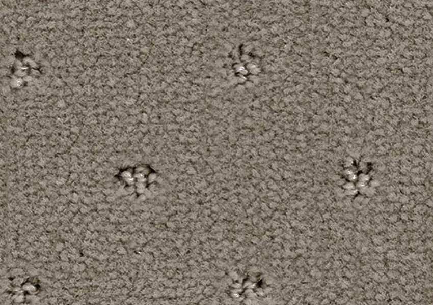 Ковролин Balsan Royal 730