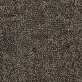  Desso1 Desso Pebble