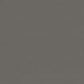  Forbo Sarlon Uni 4308190 420819 Medium Grey