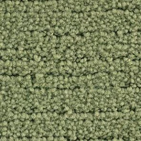  Balsan Ecorce 260