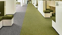 Ковролин Flotex Colour S445027 Canyon Kelp
