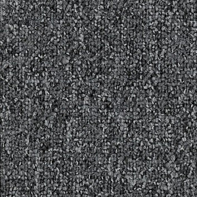 Ковровая плитка Enia Camera 00036