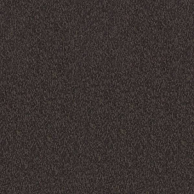  Interface