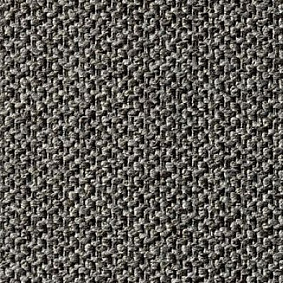 Ковролин Carpet Concept Eco Tec 280009 52744