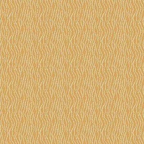 Agnella Impulse Brasica Gold