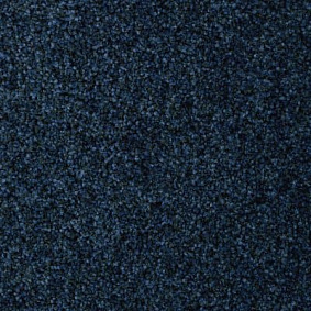  Ruscarpettiles Rct Riva