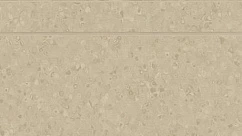 Линолеум 50024 Stone 