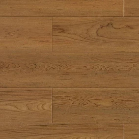  0338 Bedgebury Oak