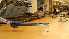 Линолеум Forbo Sportline Standart Fr 2070 