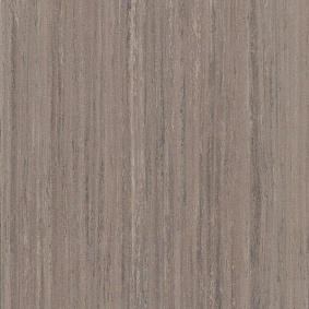  Armstrong2 Lino Art Nature Lpx