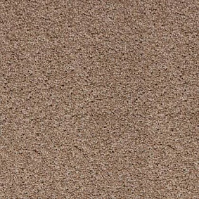  Tapibel 33620