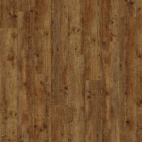  Maritime Pine 24854