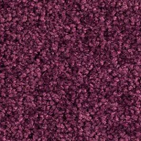  Balsan1 Balsan Bolero 890