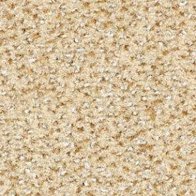  Balsan 610 Coquille