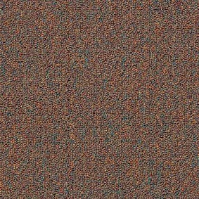  Shaw Momentum 02715