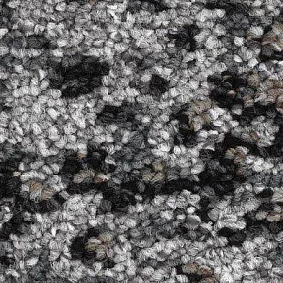  Balsan1 Balsan Darius Dalle 910