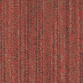  Tecsom 3550 Linear Vision 00094