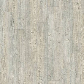  Latin Pine 24242
