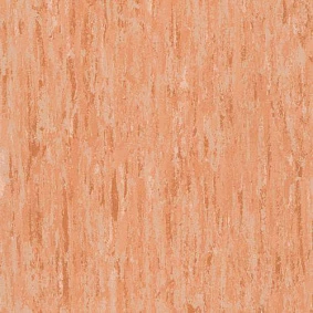  Armstrong2 Armstrong Cenit 411 073