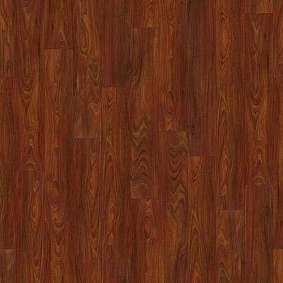  Armstrong5 Scala 100 Pur Wood 25080 117