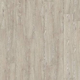 Armstrong5 Scala 55 Pur Wood 25300 145