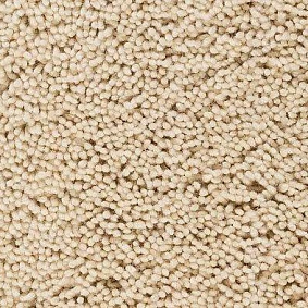  Best Wool Pure Palace Lux 101