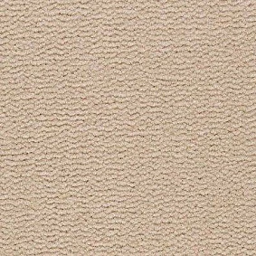  Best Wool Pure Tasman 114
